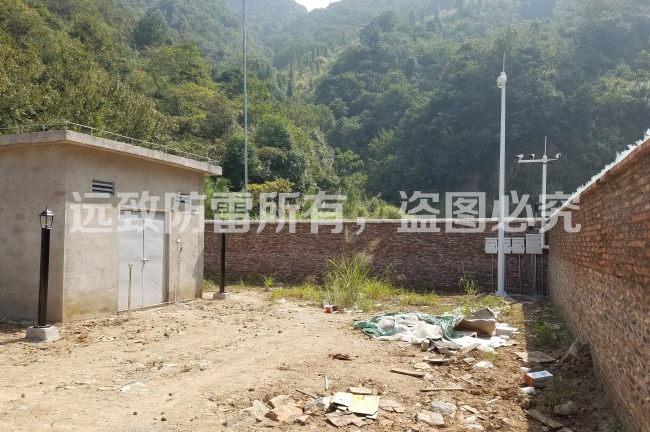 連南大麥山黃蓮老北號